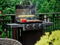 Grill-gazowy-BROIL-KING-Gem-310-Shadow-6-9-kW-53-x-34-cm-Moc-6-9-kW.jpg